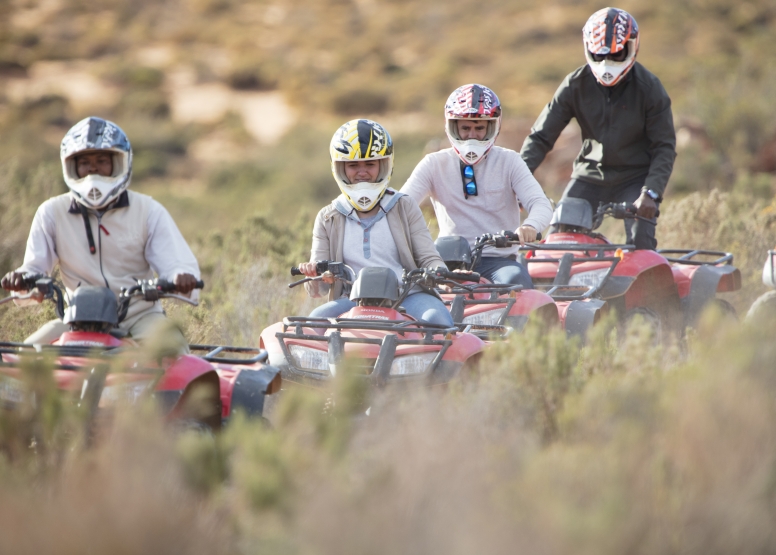 Daytrip Quad bike Combo Safari(Including Transfer) image 3