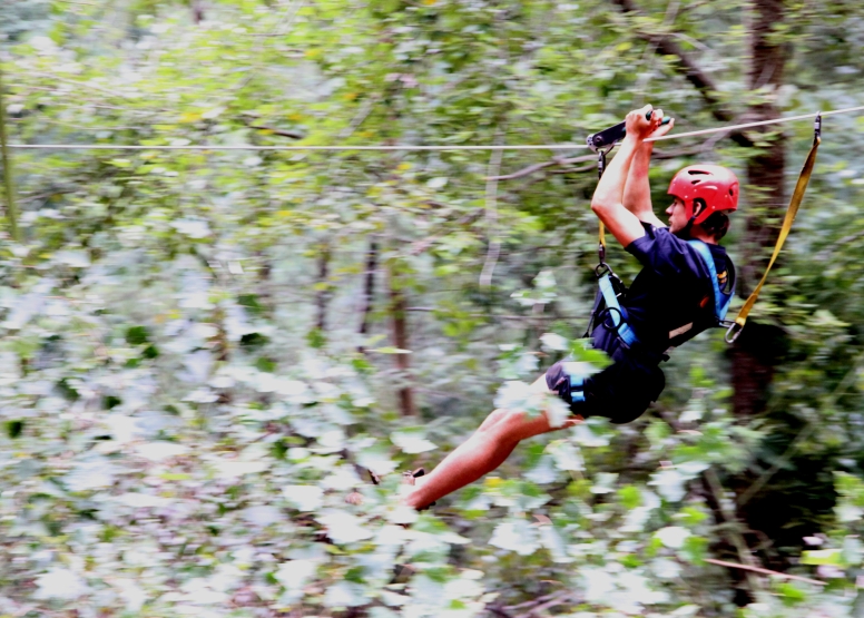 Tree Top Slides (Hermanus) image 1