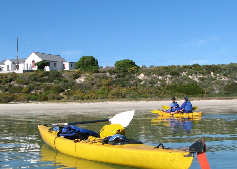 Simon’s Town Penguin Trail image 3