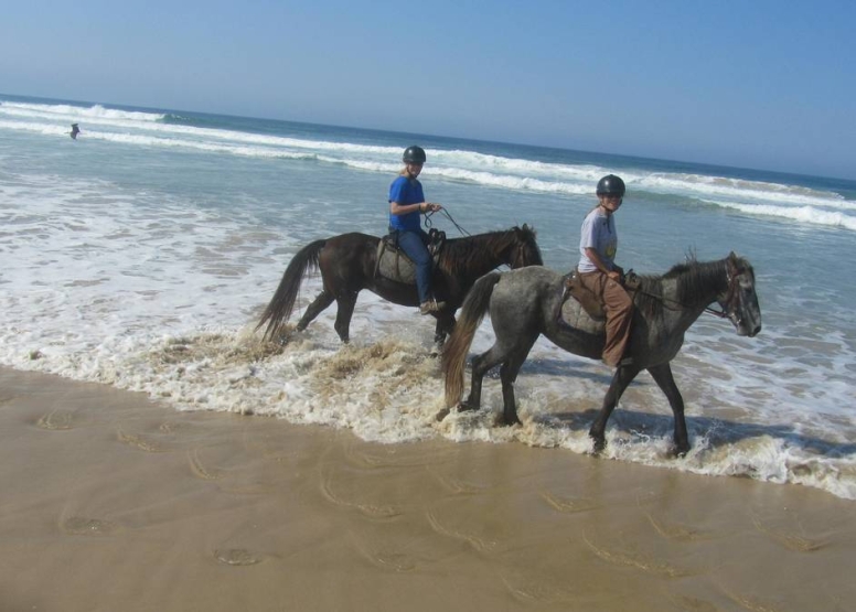 Beach Horse Trail Intermediate image 3