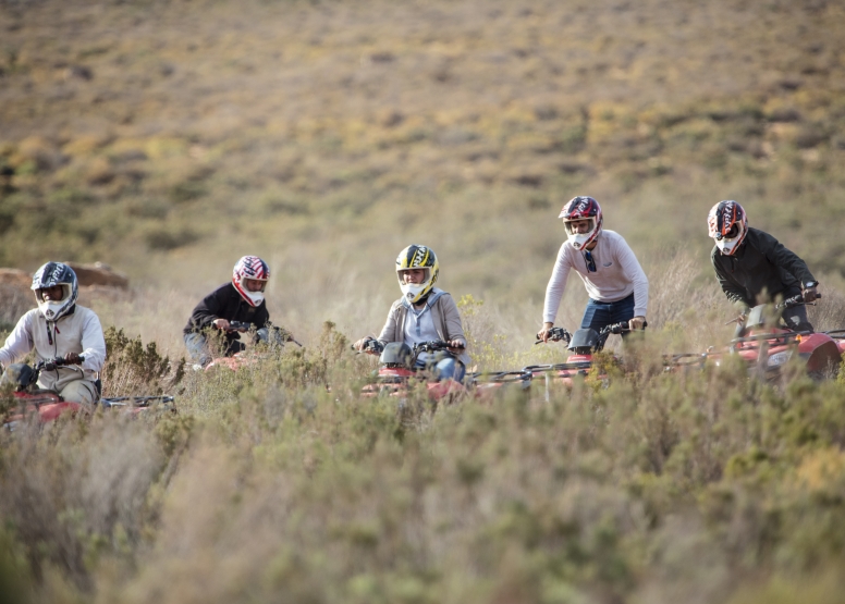 Quad bike Safari (Including Transfer) image 5