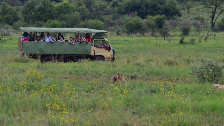 Private Game Drive Sun City - 25 Seater image 4