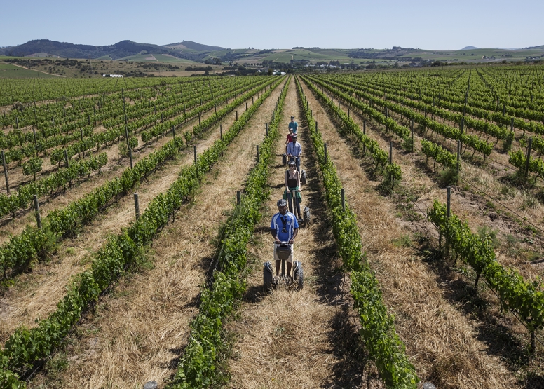 Segway Spier Wine Farm Tour image 1