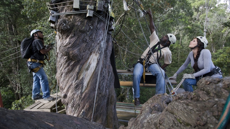 Tsitsikamma Canopy Tours image 16