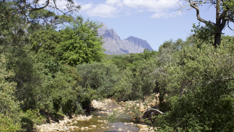 Stellenbosch Art Mile Walking Tour image 1