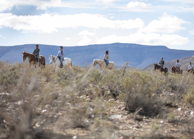 Horseback Safari (Including Transfer) image 1