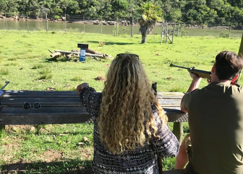 Pellet Gun Target Shooting image 8