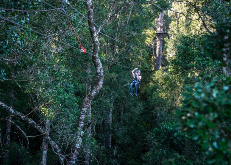 Tsitsikamma Canopy Tours image 6