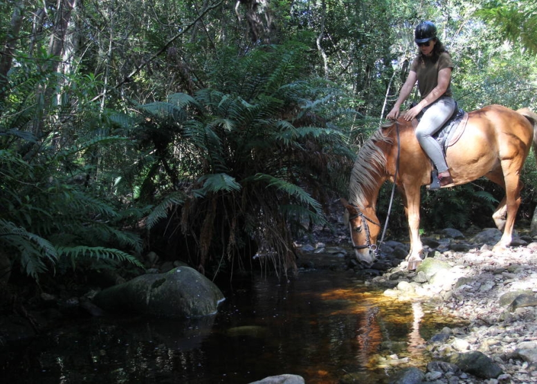 Half day horse ride wine and dine package image 1