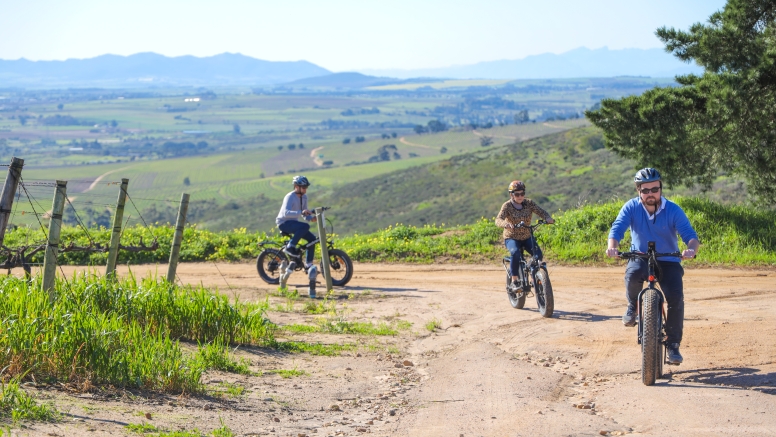 Electric Bike Winelands Tour image 5