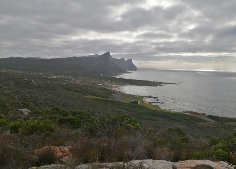 Cape Point Trail Run image 14