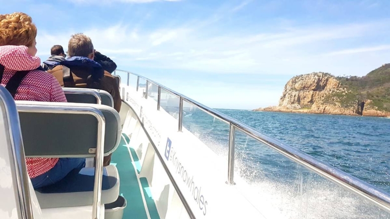 Knysna Eco Marine Boat Trip image 2