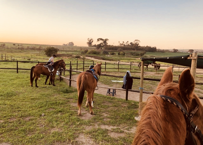 HALF DAY HORSEBACK WINE TOUR image 1