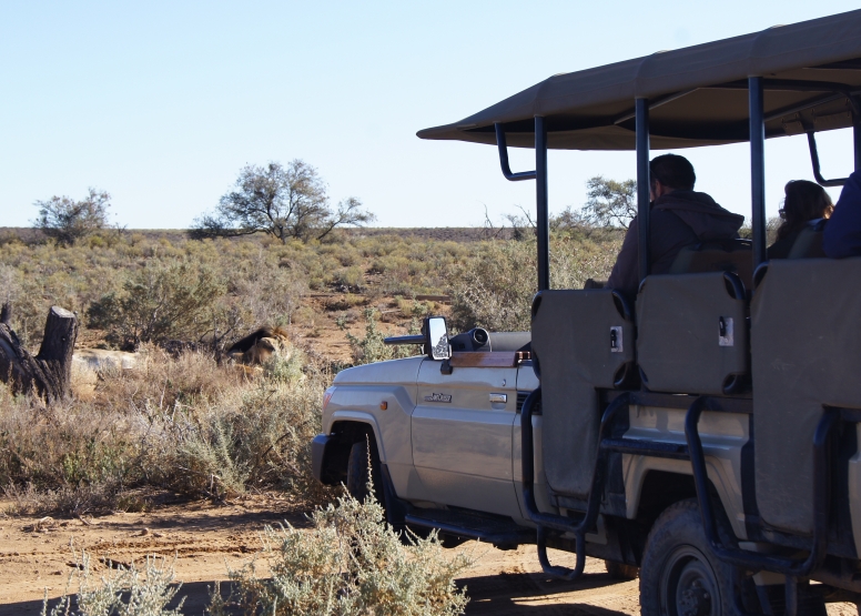 One Day Safari at Inverdoorn Safari Lodge & Game Reserve image 5