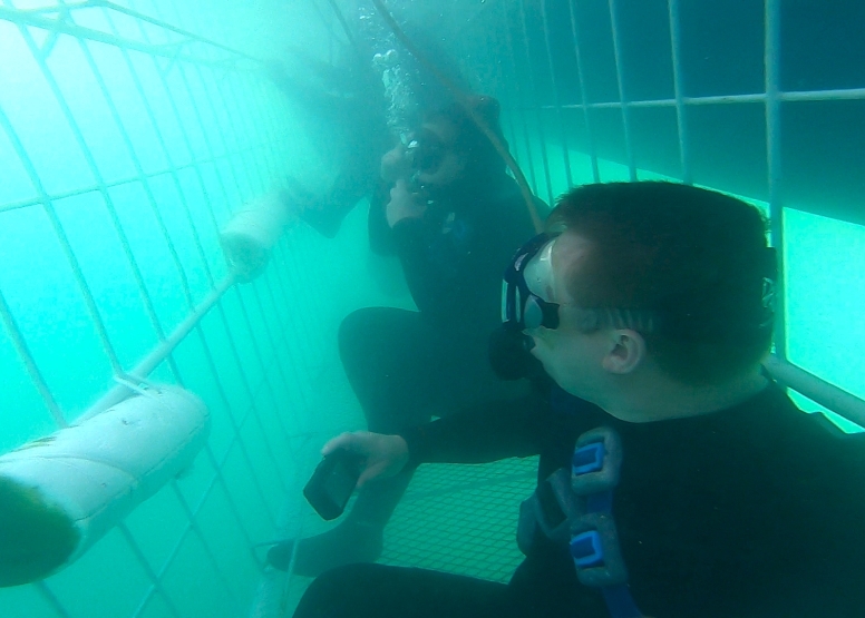 Shark Cage Diving in Gansbaai with White Shark Diving Company image 7