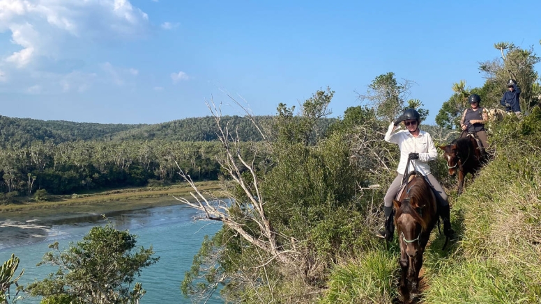 Kariega River Horse Ride image 8