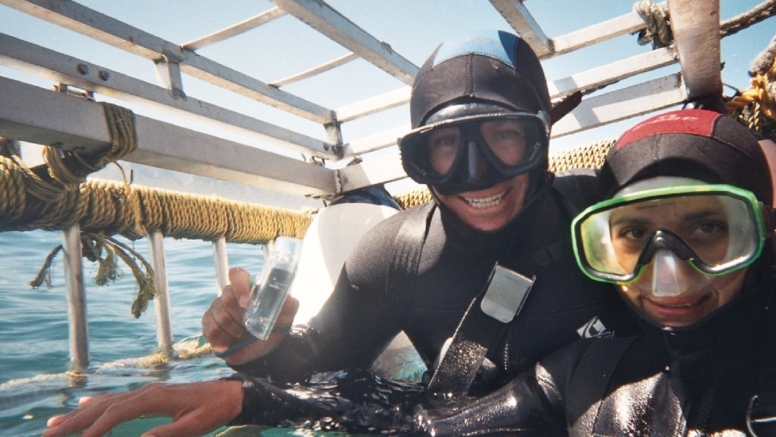 Shark Cage Diving in Gansbaai (White Shark Projects) image 3