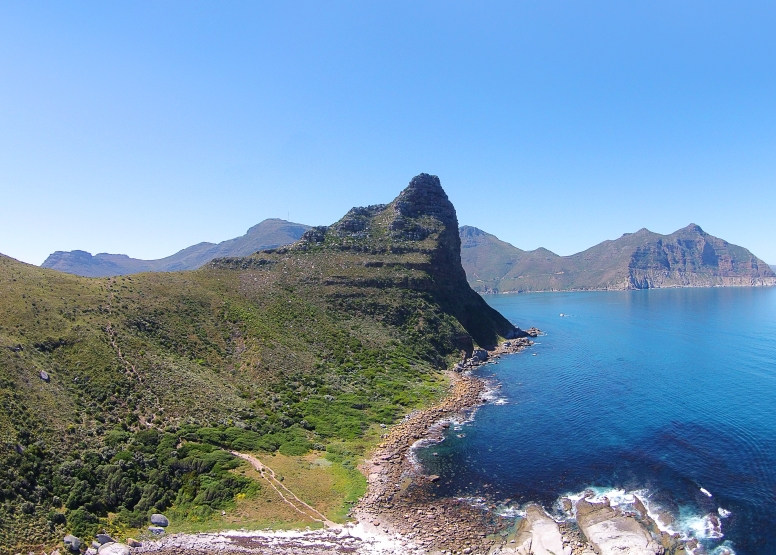 1 Hour Special Boat Trip in Hout Bay image 7