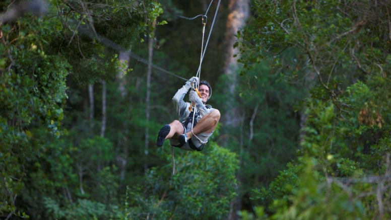 Tsitsikamma Canopy Tours image 1