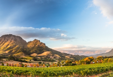 Cape Winelands