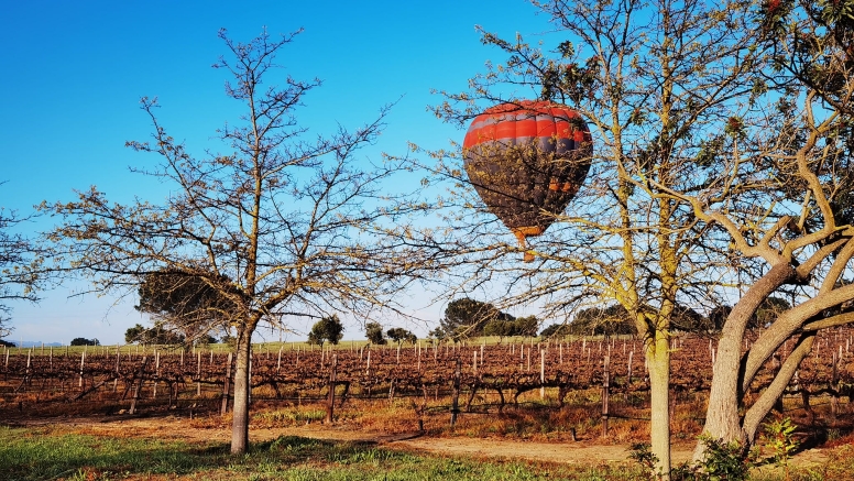 Hot Air Balloon Cape Town image 3