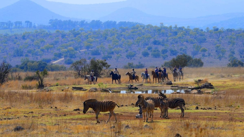 Sunset Horseback Safari image 1