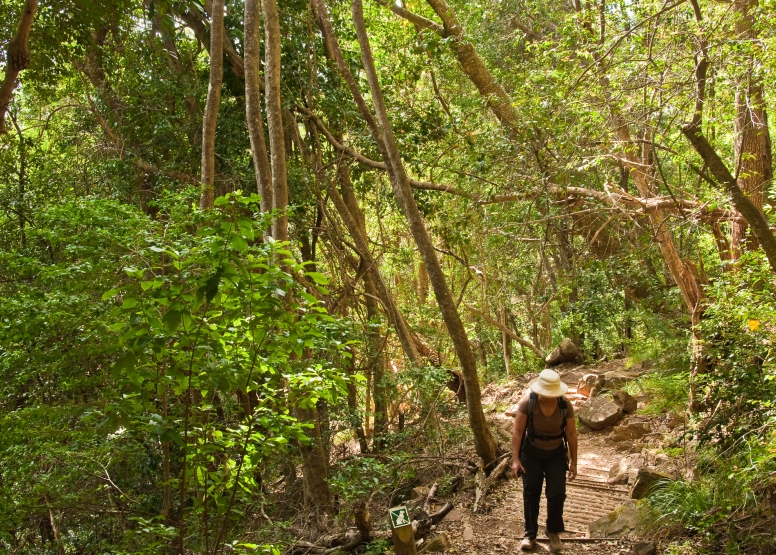 Skeleton Gorge image 4