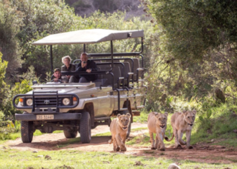 Sundowner Guided Game Drives image 1