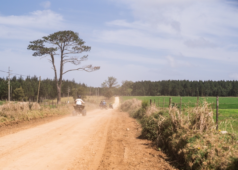 1 Hour Quad Bike Tour Tsitsikamma at Misty Mountain image 15
