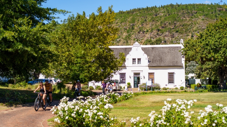 Franschhoek Half Day Winelands Mountain Bike Tour image 1