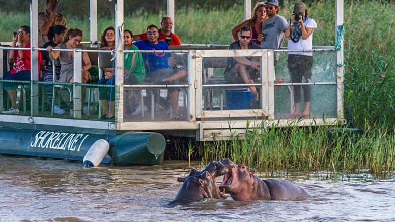 Hippo & Croc Boat Cruise image 7