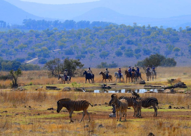 Sunset Horseback Safari image 1