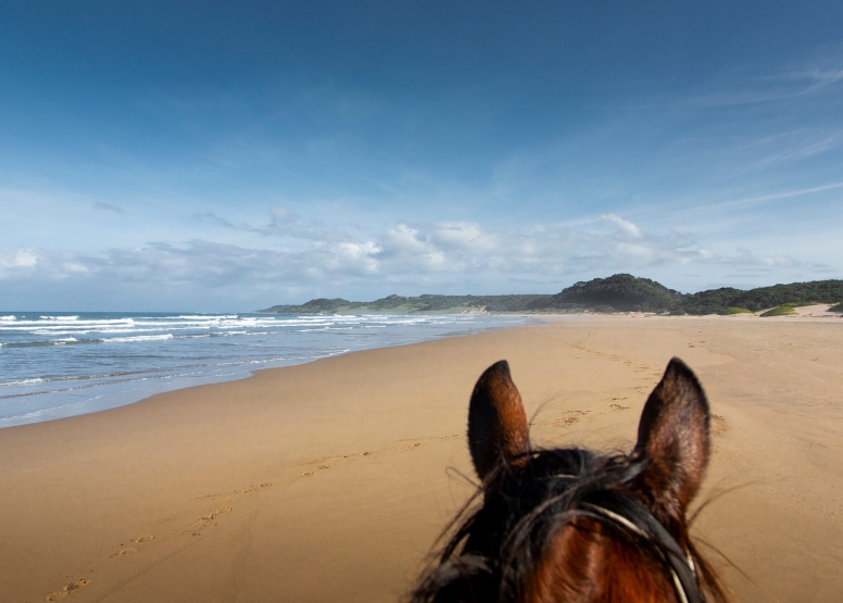 Kei Mouth Beginners Beach Ride image 4