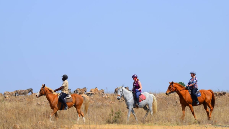 Sunset Horseback Safari image 5