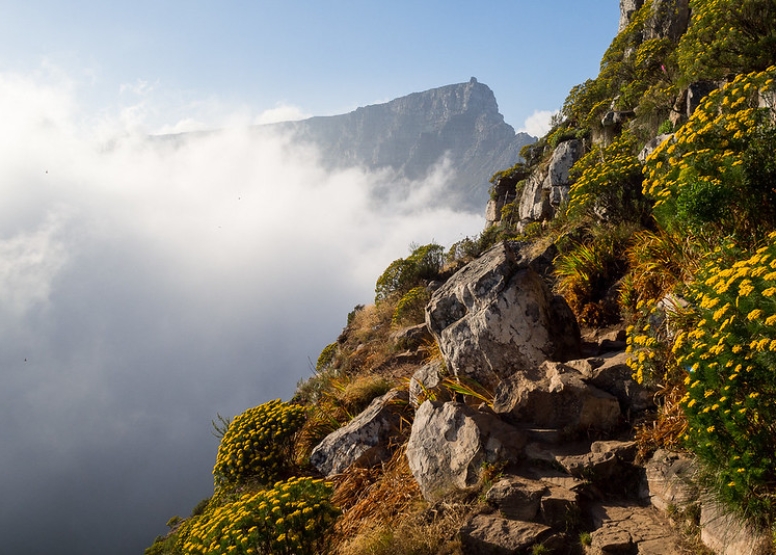 Lion's Head image 1