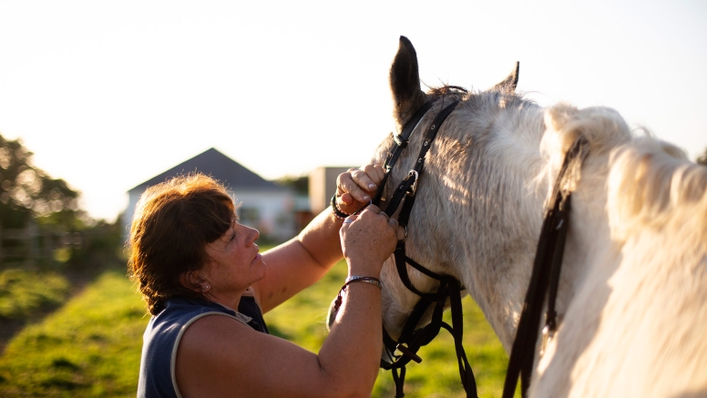 7 night 8 day Wild Coast Horse Trail our Signature Monthly Adventure Trail image 12
