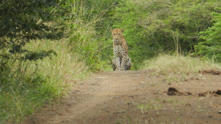 iSimangaliso Wetland Park Full day Family Safari image 2