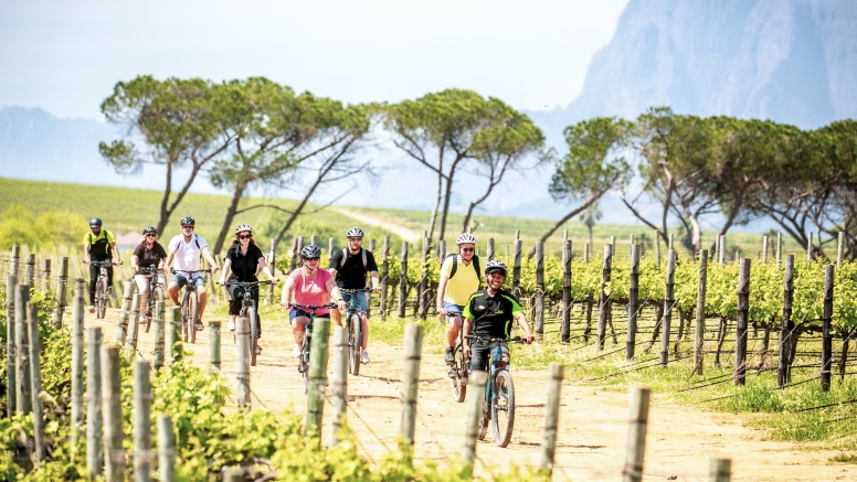 Stellenbosch Half Day Winelands Mountain Bike Tour image 5