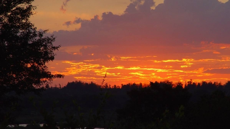 Sunset Kruger Game Drive image 1