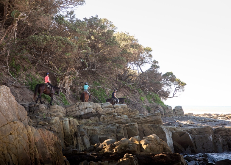 7 night 8 day Wild Coast Horse Trail our Signature Monthly Adventure Trail image 3