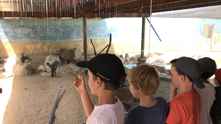 Eco Kidz Family Challenge image 10
