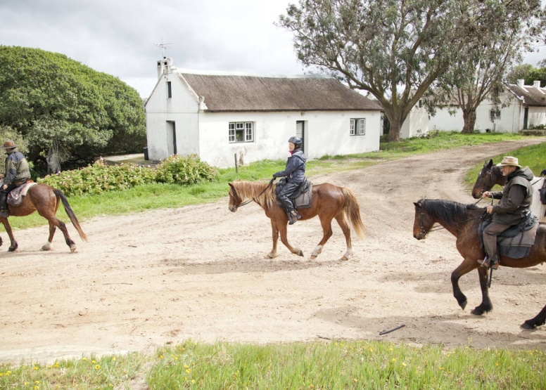 Beach Horse Ride - Gansbaai image 5