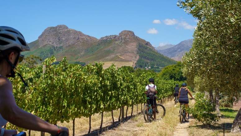 Franschhoek Half Day Winelands Mountain Bike Tour image 4