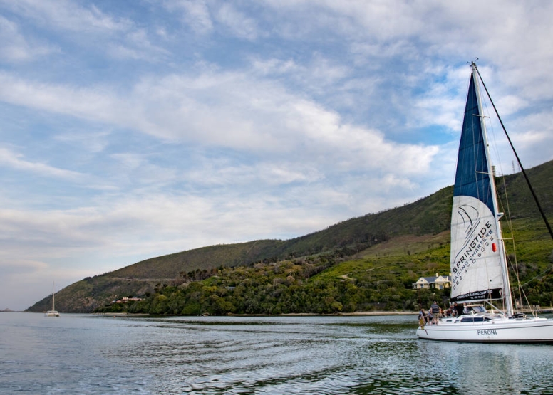 1.5 Hour Knysna Sailing Cruise image 4