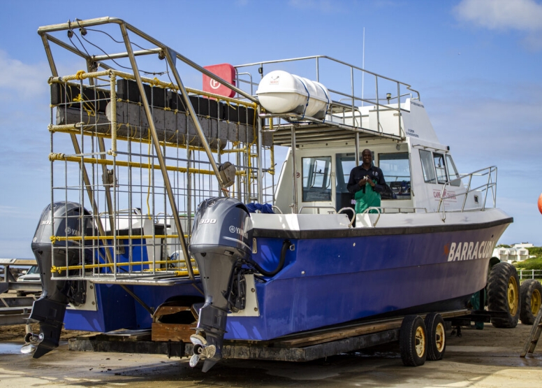 Gansbaai Shark Cage Diving Tour image 2