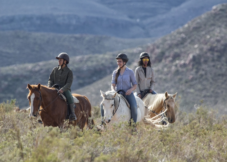 Horseback Safari image 5