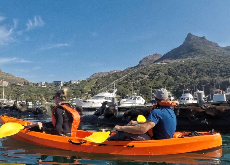 Guided Kayak Trip Hout Bay image 4