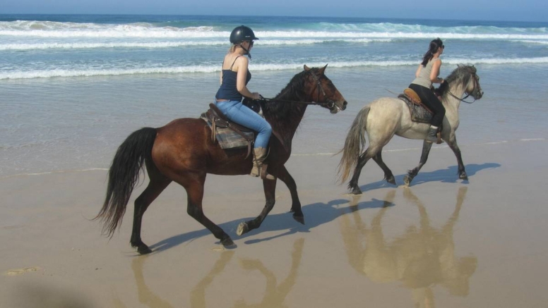 Beach Horse Trail Advanced image 3
