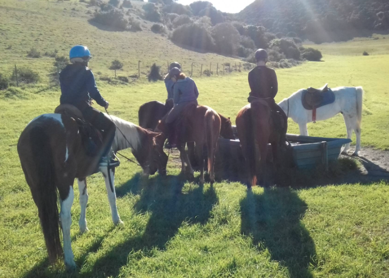 Kariega River Horse Ride image 3