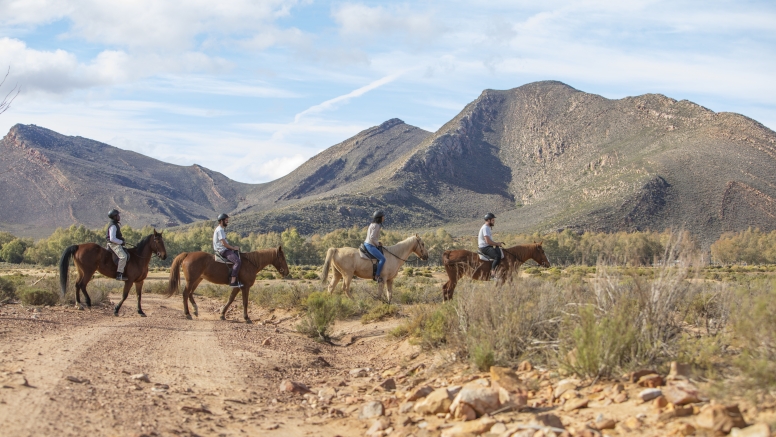 Horseback Safari image 9